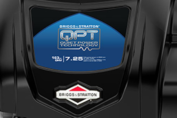 We work hard to provide you with an array of products. That's why we offer Briggs & Stratton for your convenience.