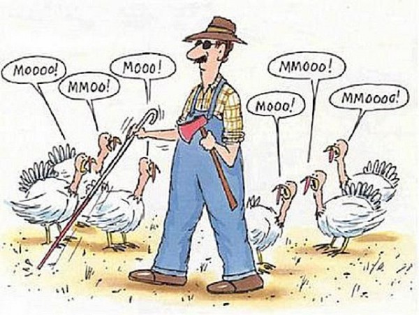 thanksgiving funny 58b8d6cd5f9b58af5c8ee9cc